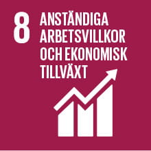 Hållbarhetsmål 8