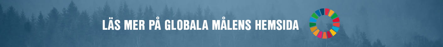 Läs mer på globala målens hemsida
