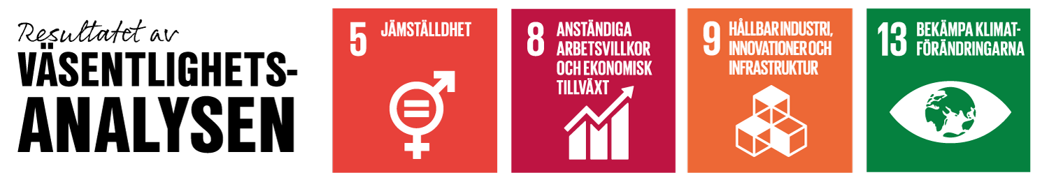 Resultatet av väsentlighetsanalysen