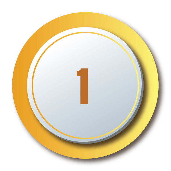 OEM Automatic bullet1 Auer