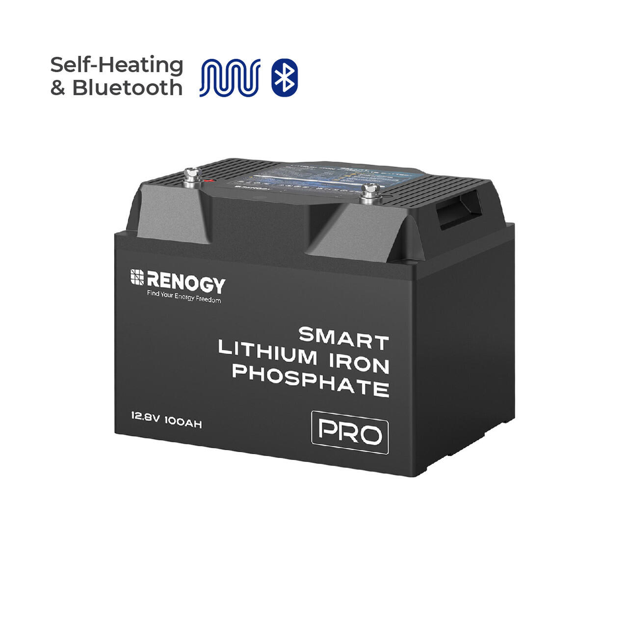 12V 100Ah Pro Lithium self-heating, BT